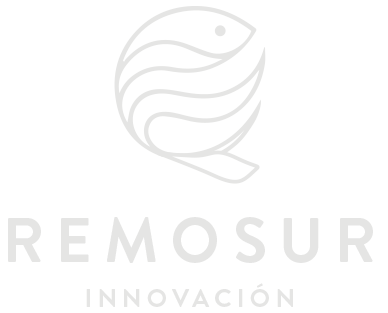 Remosur Innovación